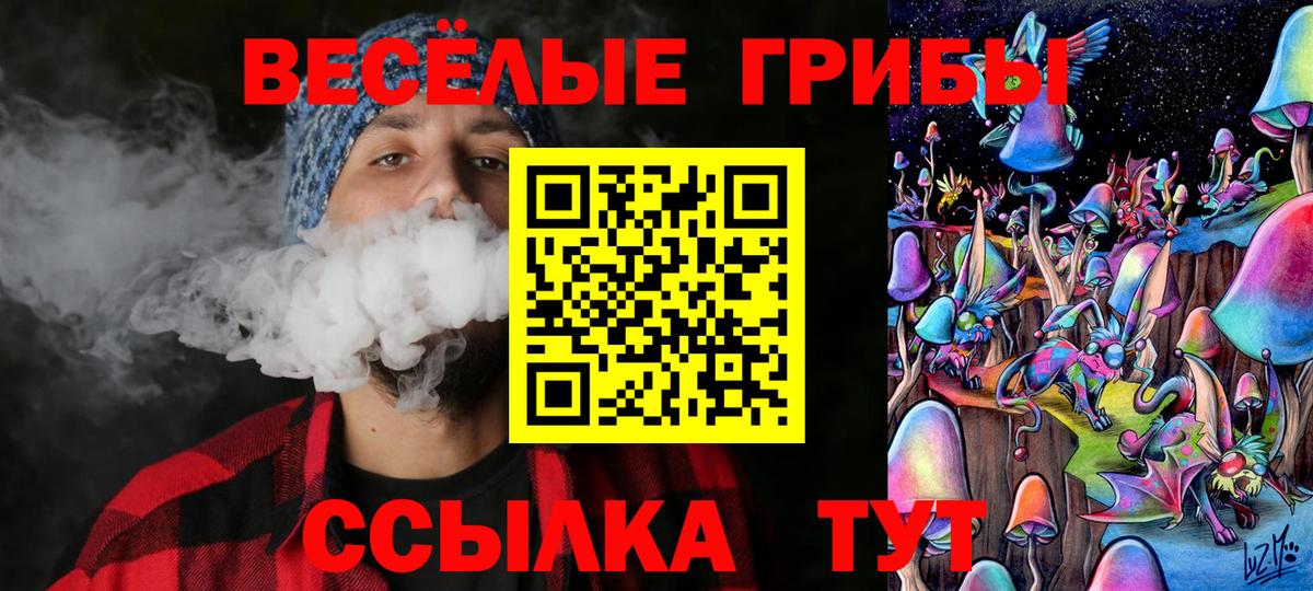 Галлюциногенные грибы GOLDEN TEACHER  Вход с VPN  Усть-Джегута 